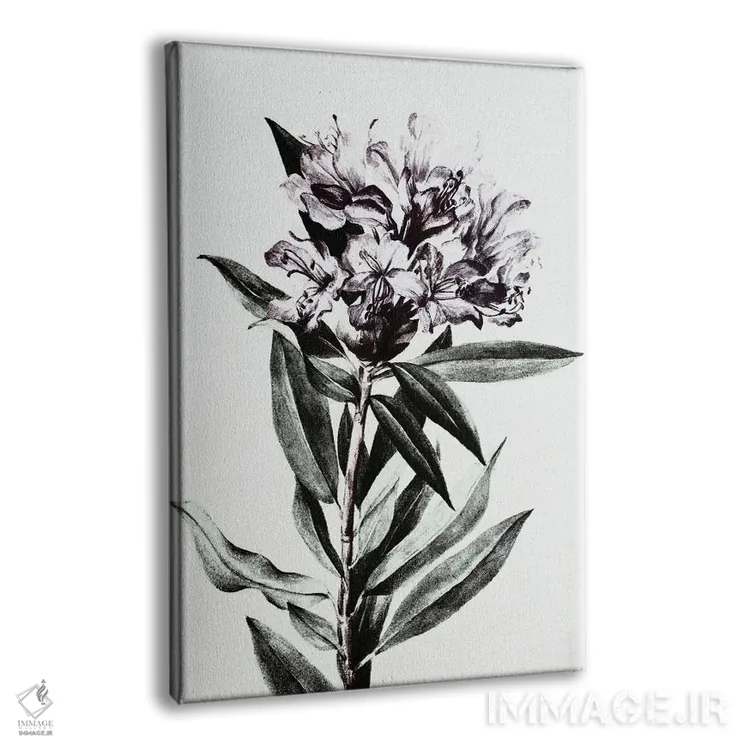 تابلو گل وحشی اثر بونا فیدسا - نمای پرسپکتیو محصول