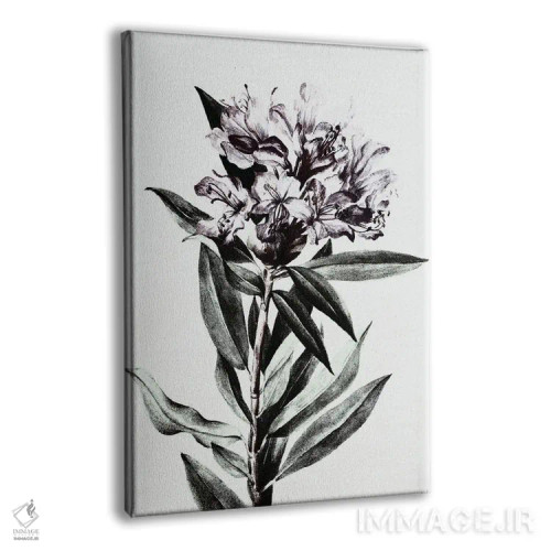 تابلو گل وحشی اثر بونا فیدسا - نمای پرسپکتیو محصول