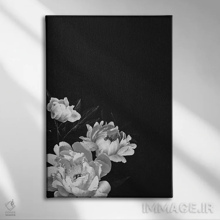 تابلو گل صدتومانی سیاه و سفید اثر بونا فیدسا - نمای روبهرو روی دیوار