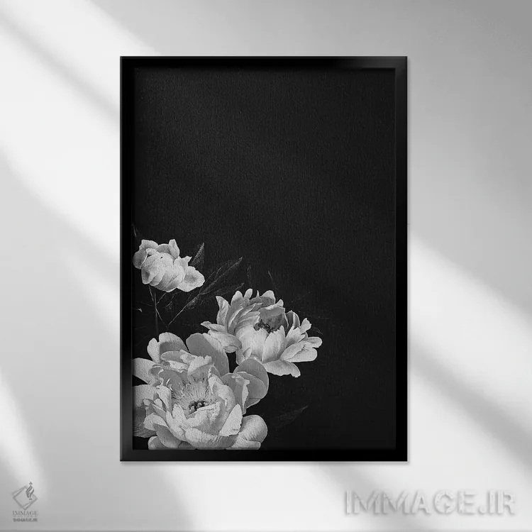 تابلو گل صدتومانی سیاه و سفید اثر بونا فیدسا - نمای قابدار مشکی