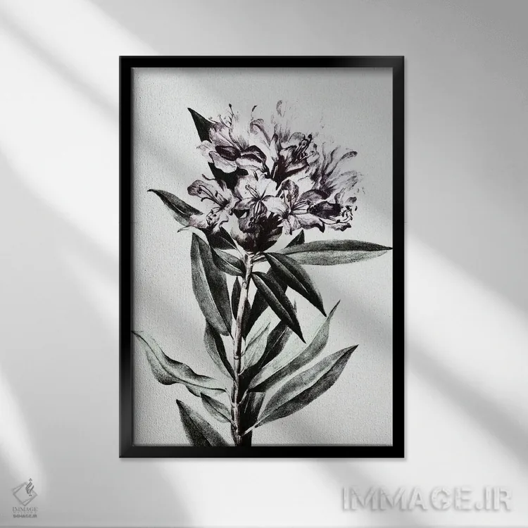 تابلو گل وحشی اثر بونا فیدسا - نمای قابدار مشکی