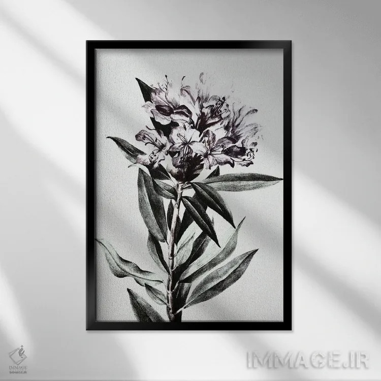 تابلو گل وحشی اثر بونا فیدسا - نمای قابدار مشکی