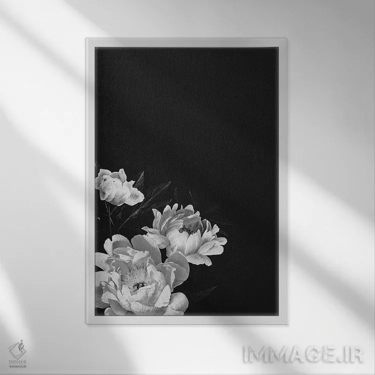 تابلو گل صدتومانی سیاه و سفید اثر بونا فیدسا - نمای قابدار سفید