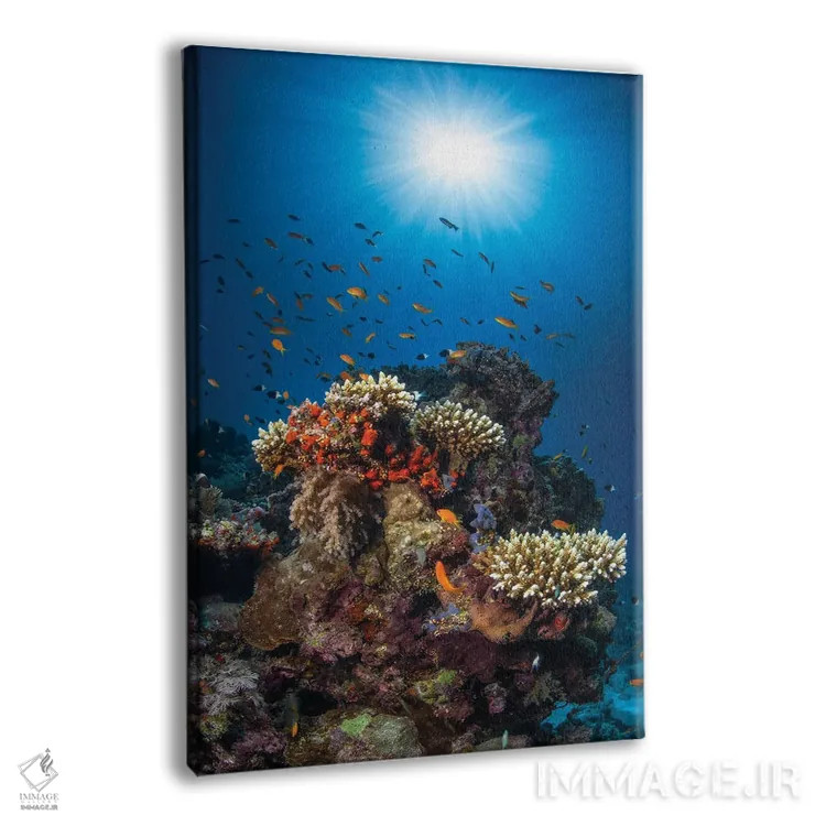 تابلو صخره و آفتاب اثر باراتیو گابریل - نمای پرسپکتیو محصول