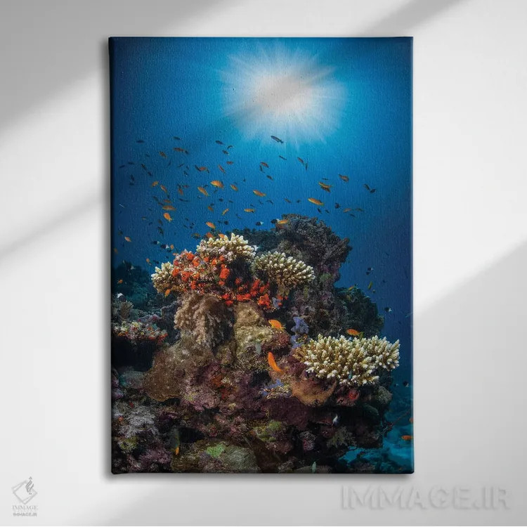 تابلو صخره و آفتاب اثر باراتیو گابریل - نمای روبهرو روی دیوار