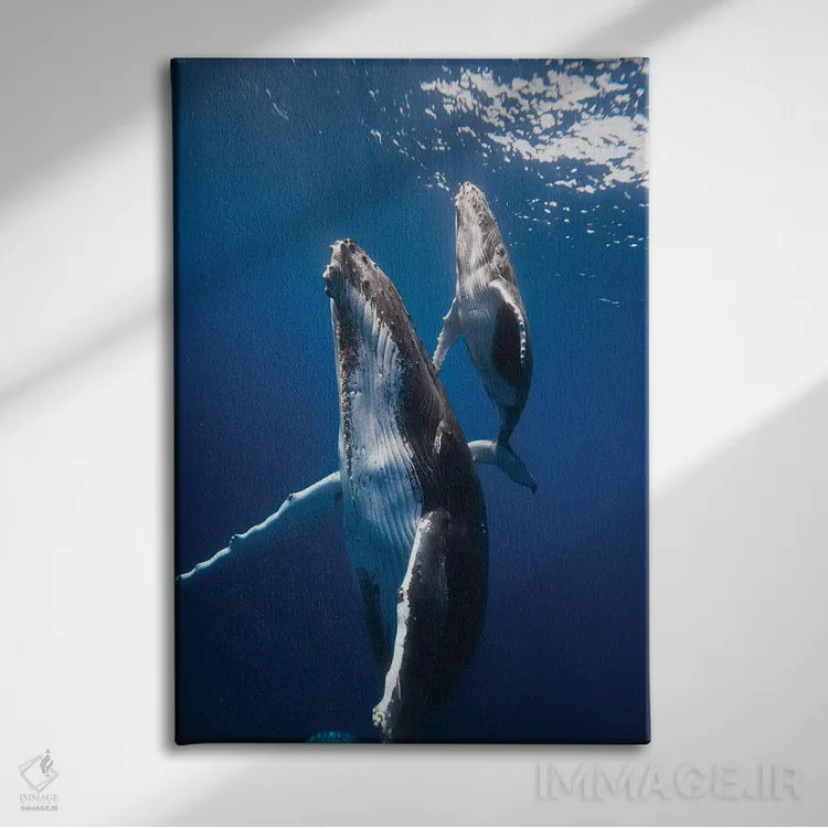 تابلو بازگشت به سطح اثر باراتیو گابریل - نمای روبهرو روی دیوار