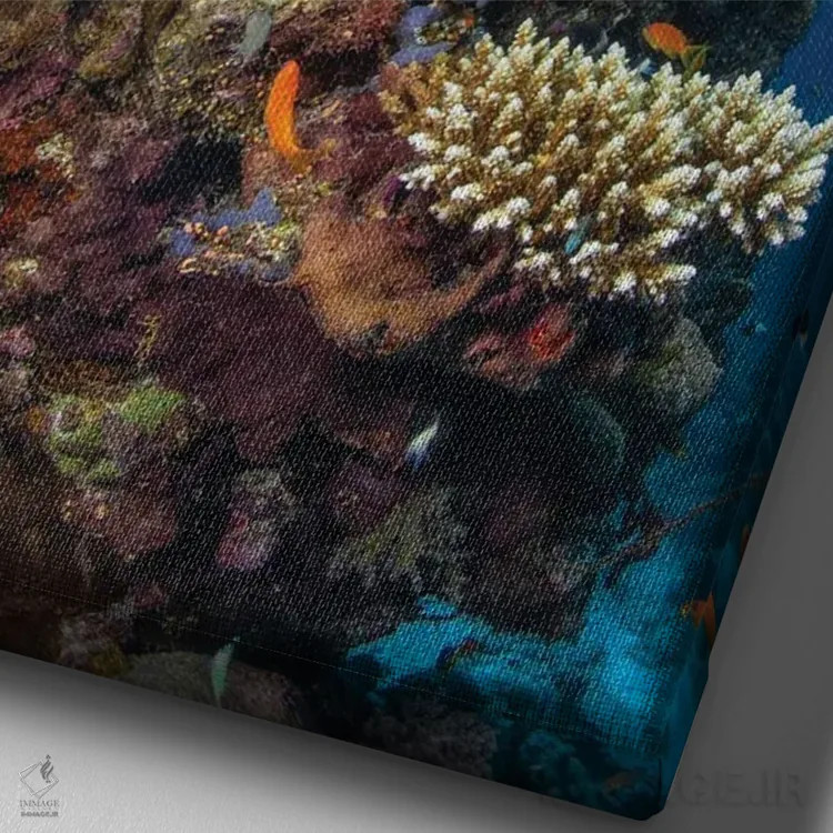 تابلو صخره و آفتاب اثر باراتیو گابریل - نمای نزدیک بافت بوم