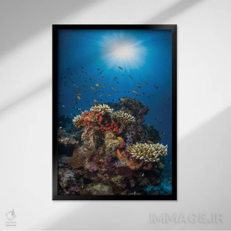 تابلو صخره و آفتاب اثر باراتیو گابریل - نمای قابدار مشکی