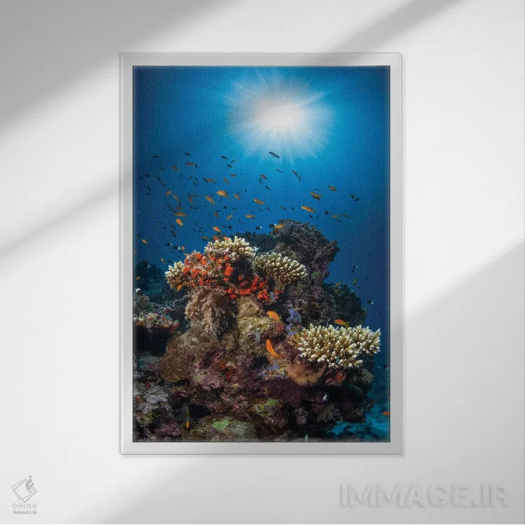 تابلو صخره و آفتاب اثر باراتیو گابریل - نمای قابدار سفید