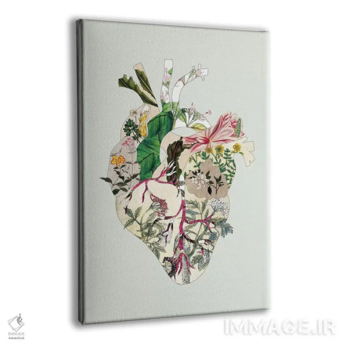 تابلو قلب گیاهی سبز قدیمی اثر بیانکا گرین - نمای پرسپکتیو محصول
