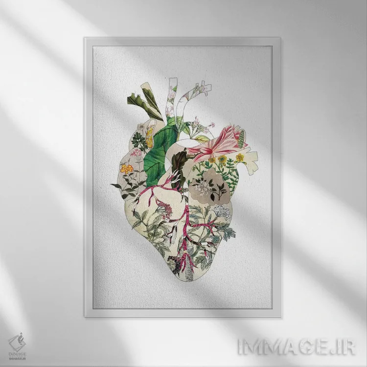 تابلو قلب گیاهی قدیمی اثر بیانکا گرین - نمای قابدار سفید
