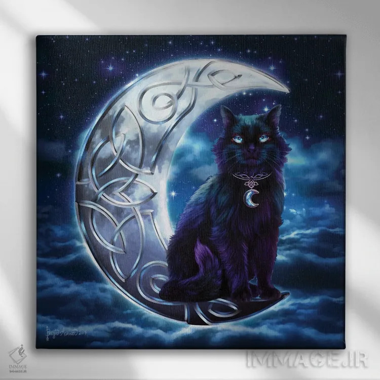 تابلو گربه سیاه سلتیک اثر بریگید اشوود - نمای روبهرو روی دیوار