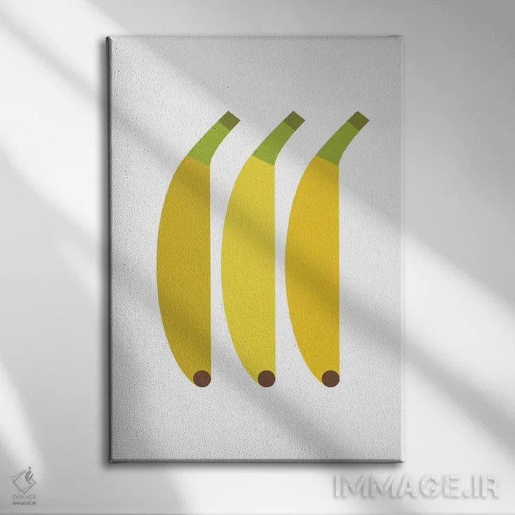 تابلو موز گرافیکی اثر بث بوردلون - نمای روبهرو روی دیوار