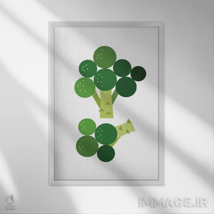 تابلو بروکلی گرافیکی اثر بث بوردلون - نمای قابدار سفید