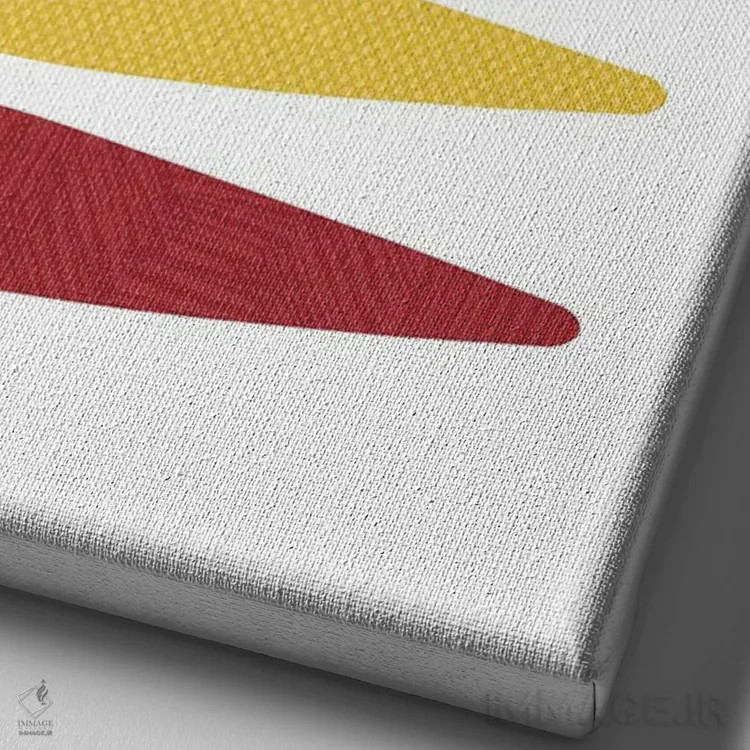 تابلو پاپ آرت هویج اثر بث بوردلون - نمای نزدیک بافت بوم