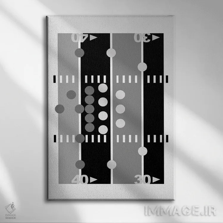 تابلو زمین فوتبال سیاه و سفید اثر بث بوردلون - نمای روبهرو روی دیوار