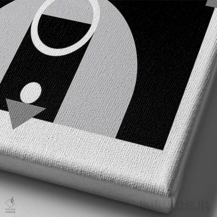 تابلو زمین بسکتبال سیاه و سفید اثر بث بوردلون - نمای نزدیک بافت بوم