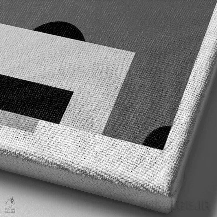 تابلو زمین فوتبال سیاه و سفید اثر بث بوردلون - نمای نزدیک بافت بوم