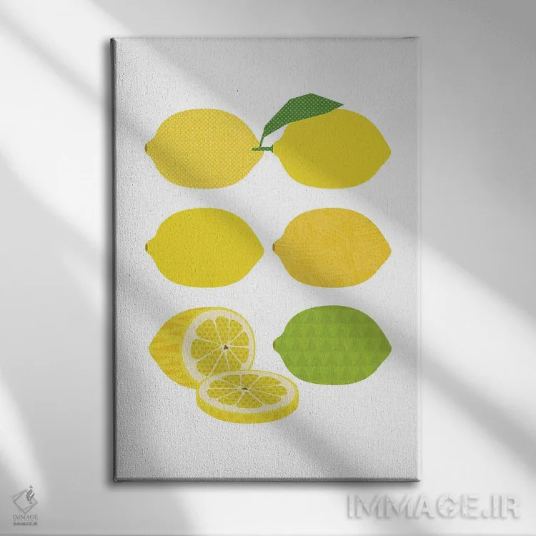 تابلو پاپ آرت لیمو اثر بث بوردلون - نمای روبهرو روی دیوار