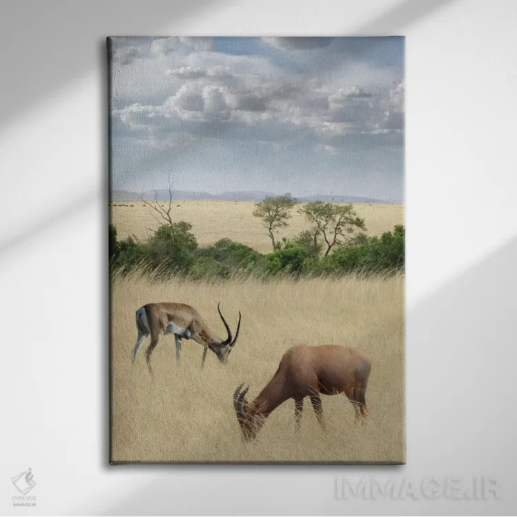 تابلو کنیا شماره ۲ اثر بن هاین (هنرمند بلژیکی) - نمای روبهرو روی دیوار