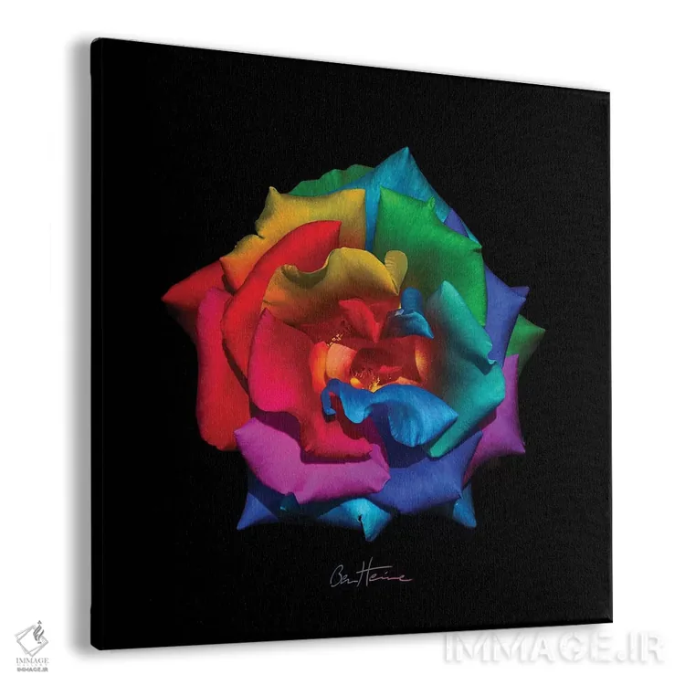 تابلو هدیهای برای الهامبخشم اثر بن هاین (هنرمند بلژیکی) - نمای پرسپکتیو محصول