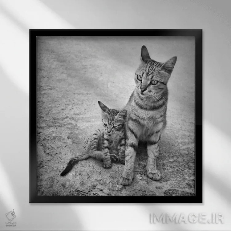 تابلو هرگز مرا تنها نگذار اثر بن هاین (هنرمند بلژیکی) - نمای قابدار مشکی