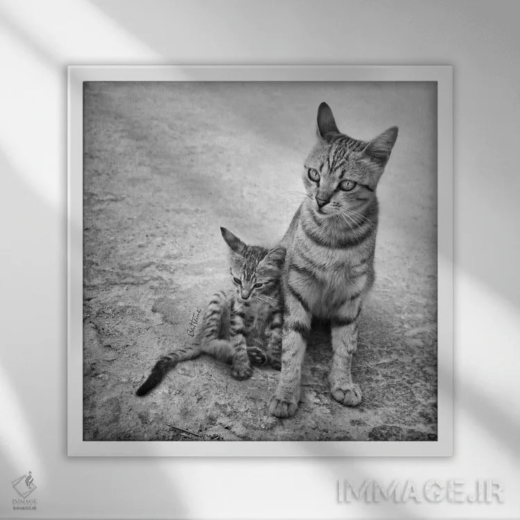 تابلو هرگز مرا تنها نگذار اثر بن هاین (هنرمند بلژیکی) - نمای قابدار سفید