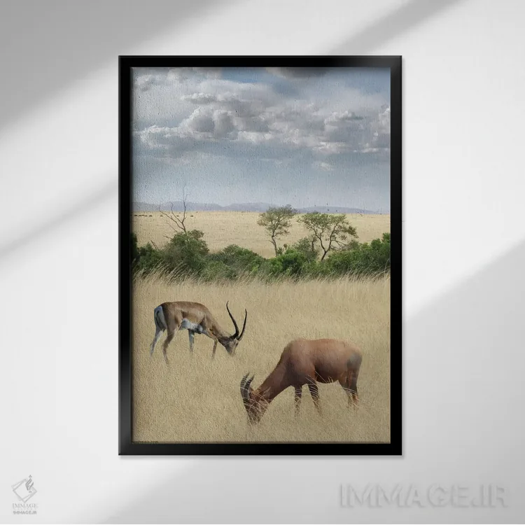 تابلو کنیا شماره ۲ اثر بن هاین (هنرمند بلژیکی) - نمای قابدار مشکی