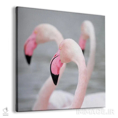 تابلو فلامینگو ۱ اثر بن هاین (هنرمند بلژیکی) - نمای پرسپکتیو محصول