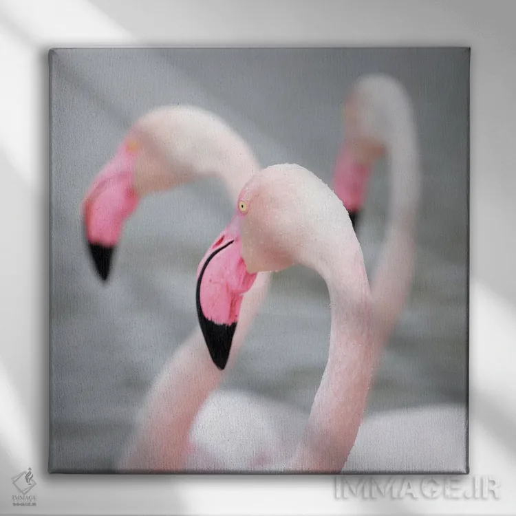 تابلو فلامینگو ۱ اثر بن هاین (هنرمند بلژیکی) - نمای روبهرو روی دیوار