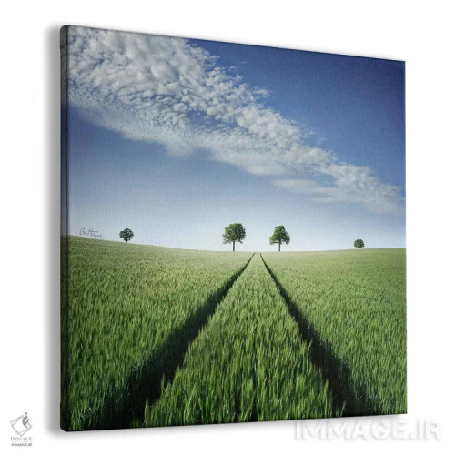 تابلو به سرنوشت خودت ایمان داشته باش اثر بن هاین (هنرمند بلژیکی) - نمای پرسپکتیو محصول