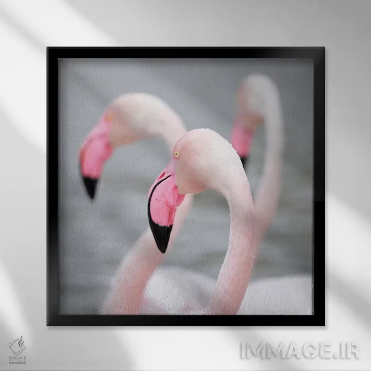 تابلو فلامینگو ۱ اثر بن هاین (هنرمند بلژیکی) - نمای قابدار مشکی