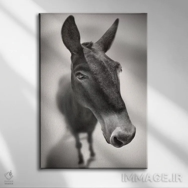 تابلو با من صحبت کن اثر بن هاین (هنرمند بلژیکی) - نمای روبهرو روی دیوار