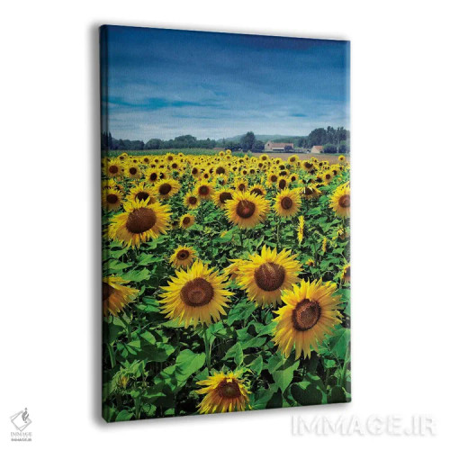 تابلو صورتت را به سمت خورشید کن اثر بن هاین (هنرمند بلژیکی) - نمای پرسپکتیو محصول