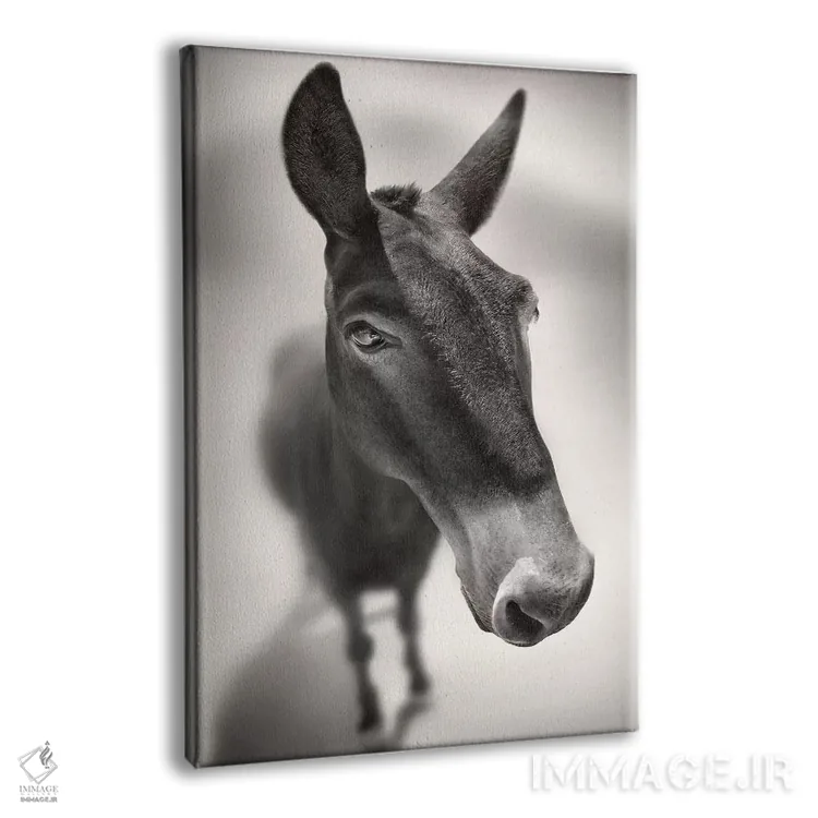 تابلو با من صحبت کن اثر بن هاین (هنرمند بلژیکی) - نمای پرسپکتیو محصول