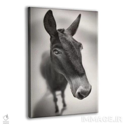 تابلو با من صحبت کن اثر بن هاین (هنرمند بلژیکی) - نمای پرسپکتیو محصول