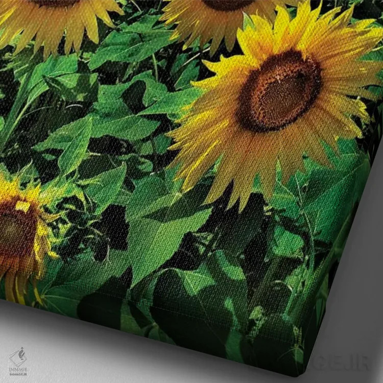 تابلو صورتت را به سمت خورشید کن اثر بن هاین (هنرمند بلژیکی) - نمای نزدیک بافت بوم