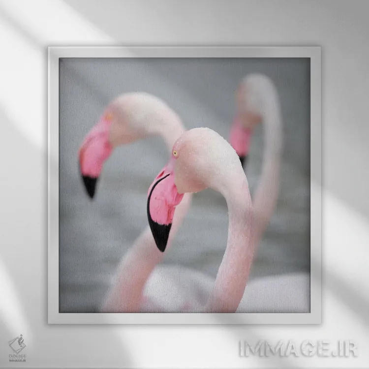 تابلو فلامینگو ۱ اثر بن هاین (هنرمند بلژیکی) - نمای قابدار سفید