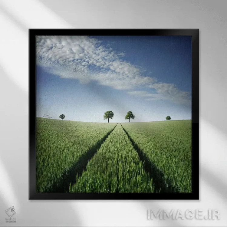 تابلو به سرنوشت خودت ایمان داشته باش اثر بن هاین (هنرمند بلژیکی) - نمای قابدار مشکی