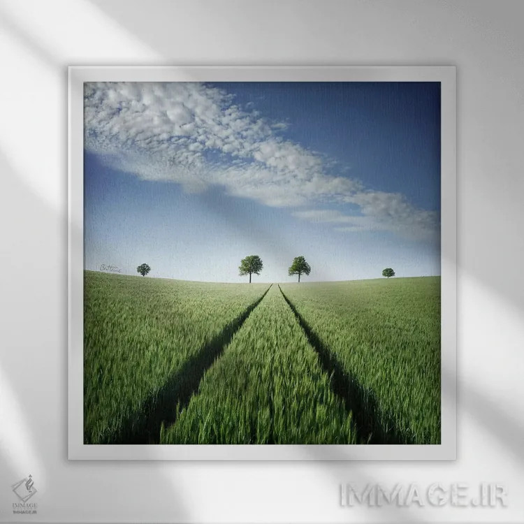 تابلو به سرنوشت خودت ایمان داشته باش اثر بن هاین (هنرمند بلژیکی) - نمای قابدار سفید