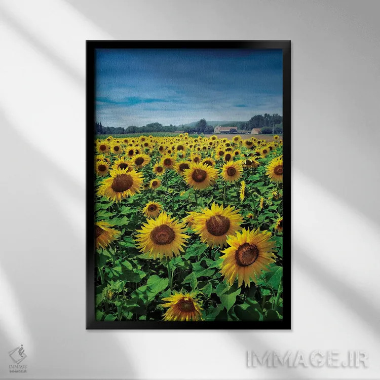 تابلو صورتت را به سمت خورشید کن اثر بن هاین (هنرمند بلژیکی) - نمای قابدار مشکی