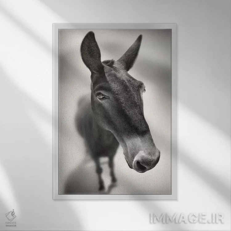 تابلو با من صحبت کن اثر بن هاین (هنرمند بلژیکی) - نمای قابدار سفید