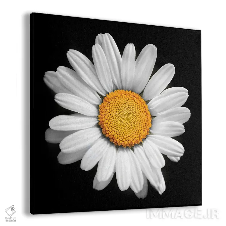 تابلو در هر گلی خورشیدی وجود دارد اثر بن هاین (هنرمند بلژیکی) - نمای پرسپکتیو محصول