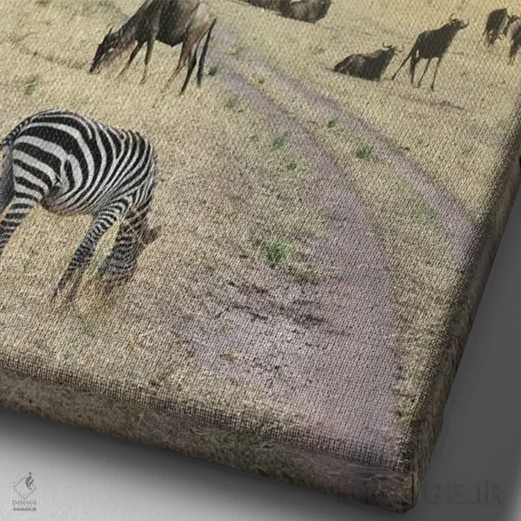 تابلو روزی روزگاری در کنیا شماره ۶ اثر بن هاین (هنرمند بلژیکی) - نمای نزدیک بافت بوم