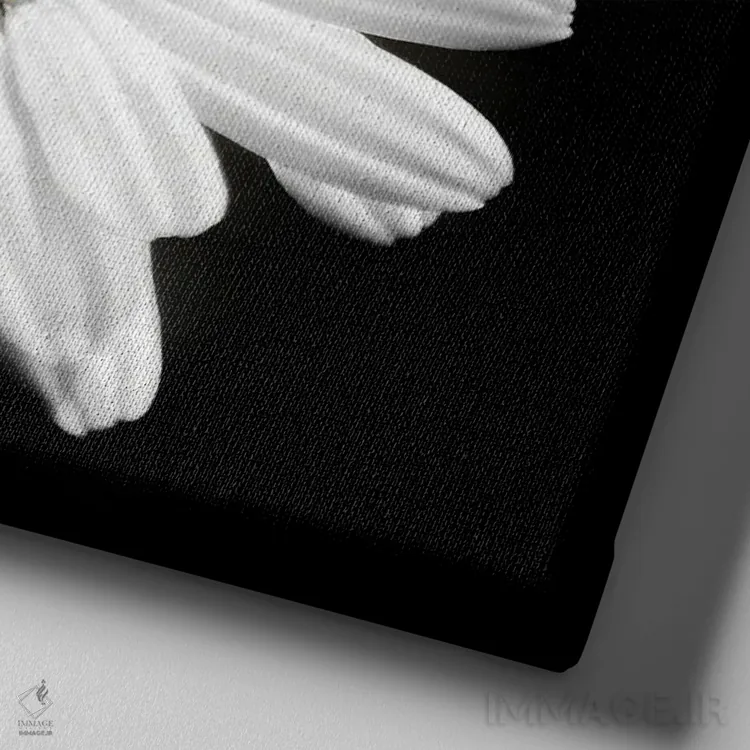 تابلو در هر گلی خورشیدی وجود دارد اثر بن هاین (هنرمند بلژیکی) - نمای نزدیک بافت بوم