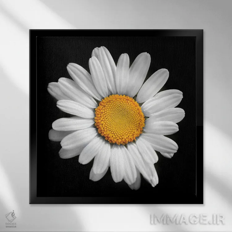 تابلو در هر گلی خورشیدی وجود دارد اثر بن هاین (هنرمند بلژیکی) - نمای قابدار مشکی