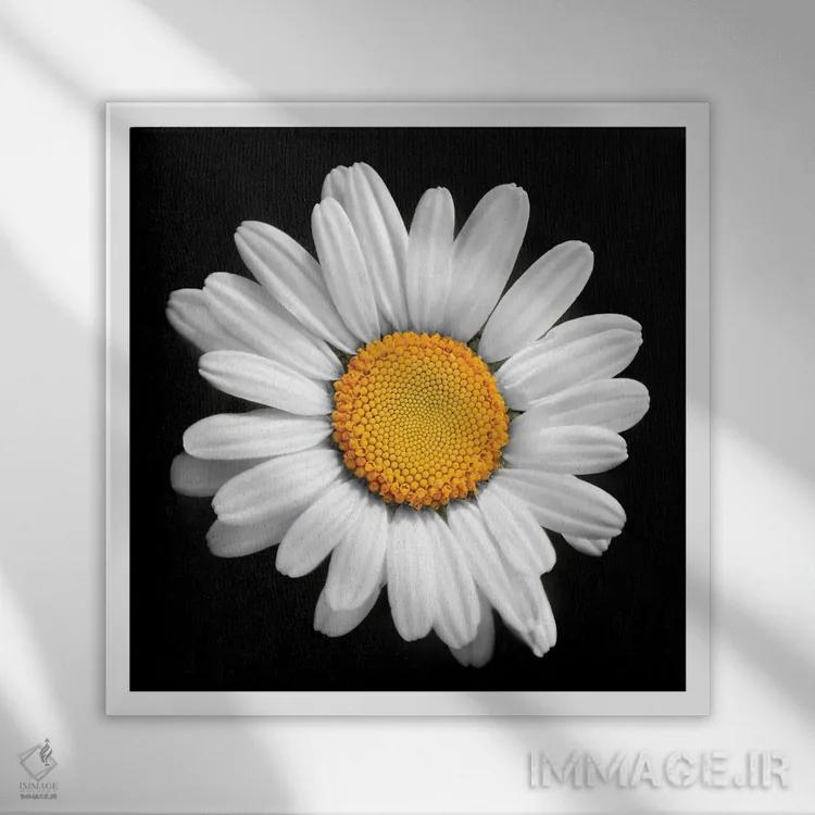 تابلو در هر گلی خورشیدی وجود دارد اثر بن هاین (هنرمند بلژیکی) - نمای قابدار سفید