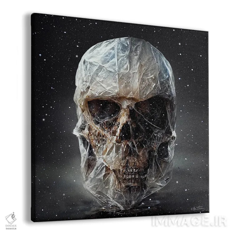 تابلو جمجمه کیهانی اثر بن هاین (هنرمند بلژیکی) - نمای پرسپکتیو محصول