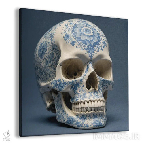 تابلو جمجمه چینی I اثر بن هاین (هنرمند بلژیکی) - نمای پرسپکتیو محصول