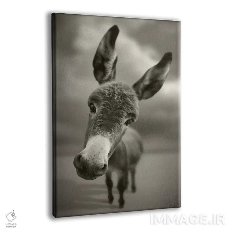 تابلو سلام اثر بن هاین (هنرمند بلژیکی) - نمای پرسپکتیو محصول